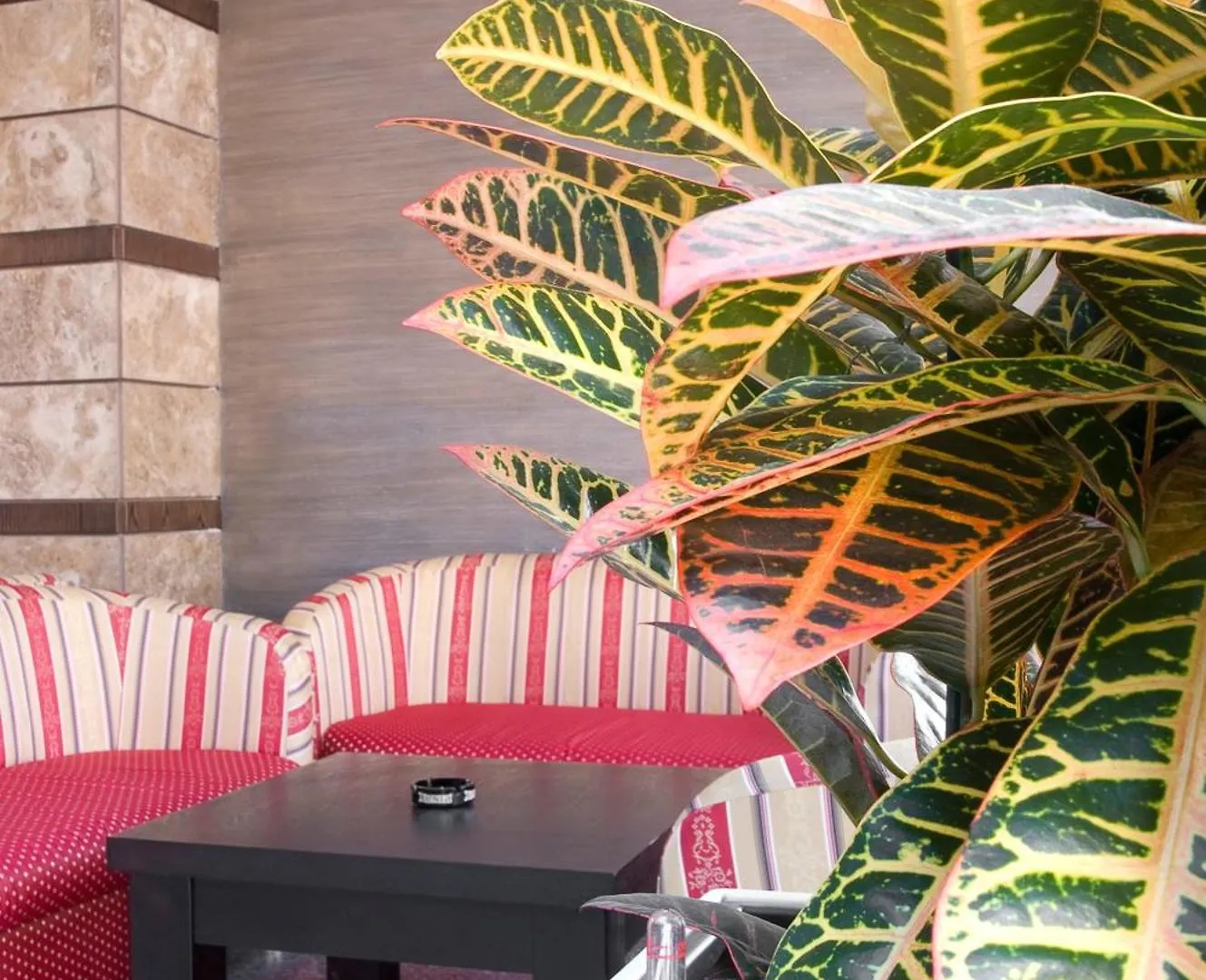 Detelina Hotel Golden Sands